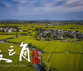 【长三角日报】“苏超”第四周赛事，预约购票提前